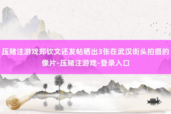 压赌注游戏郑钦文还发帖晒出3张在武汉街头拍摄的像片-压赌注游戏-登录入口